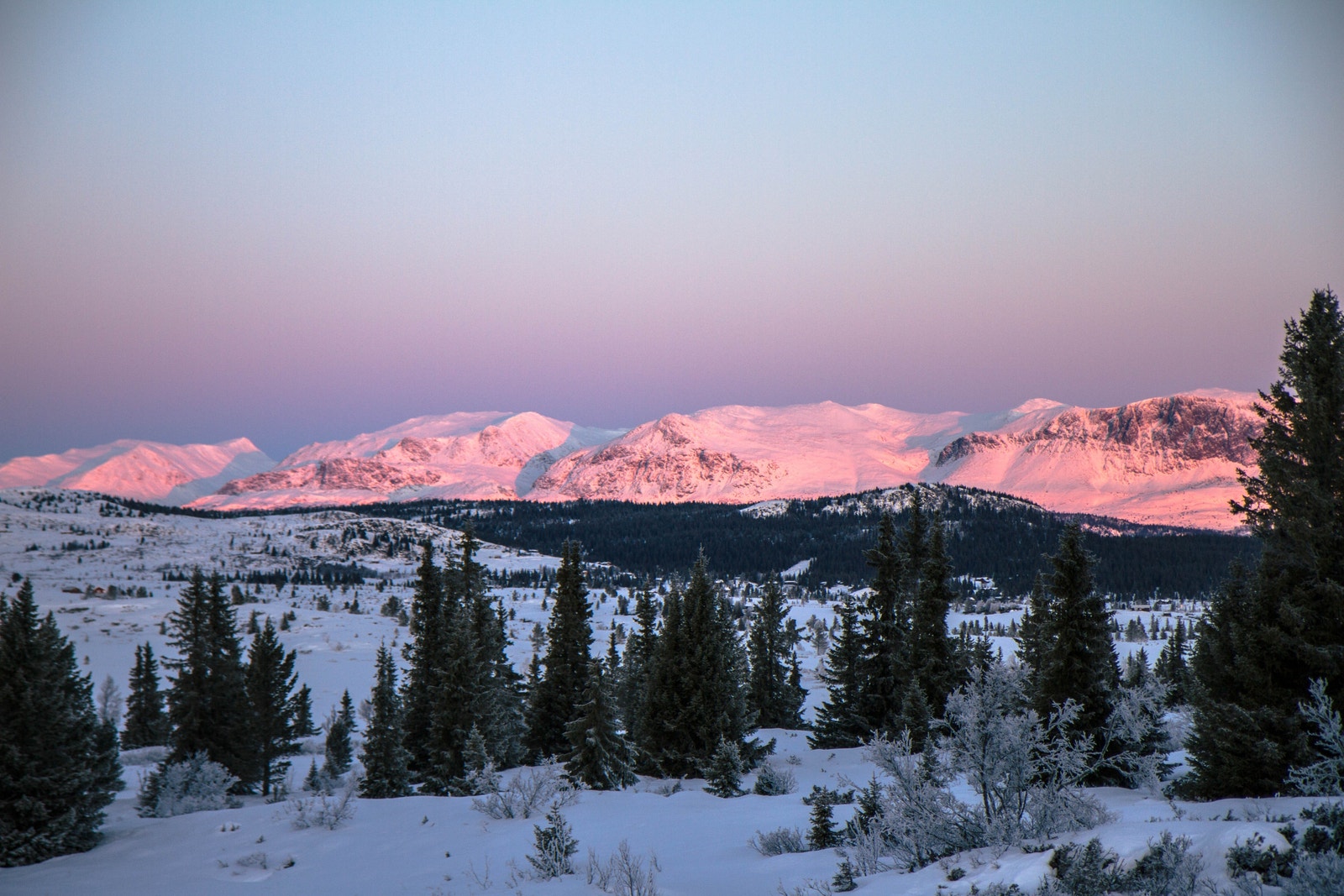 Høyfjell på alle kanter
På Skagahøgdi er du omgitt av fjell. I utsikten ligger fjell i alle horisonter. Og vil du på fjelltur så ligger viddene rett bak Skagahøgdi med flott utsikt mot både Hallingsskarvet og Reinsskarvet. Her er det muligheter for både k Galleribilde