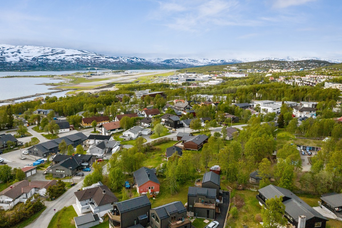 Området