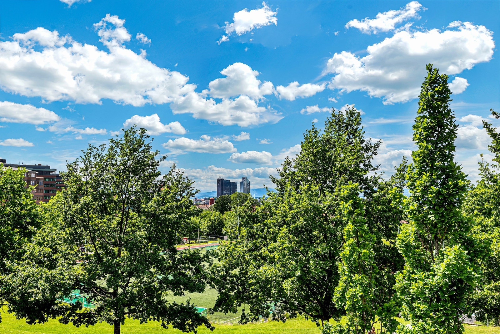 Det er rikt utvalg av parker kun få minutters gange fra boligen - Perfekt til trening, solbading og hygge! Galleribilde