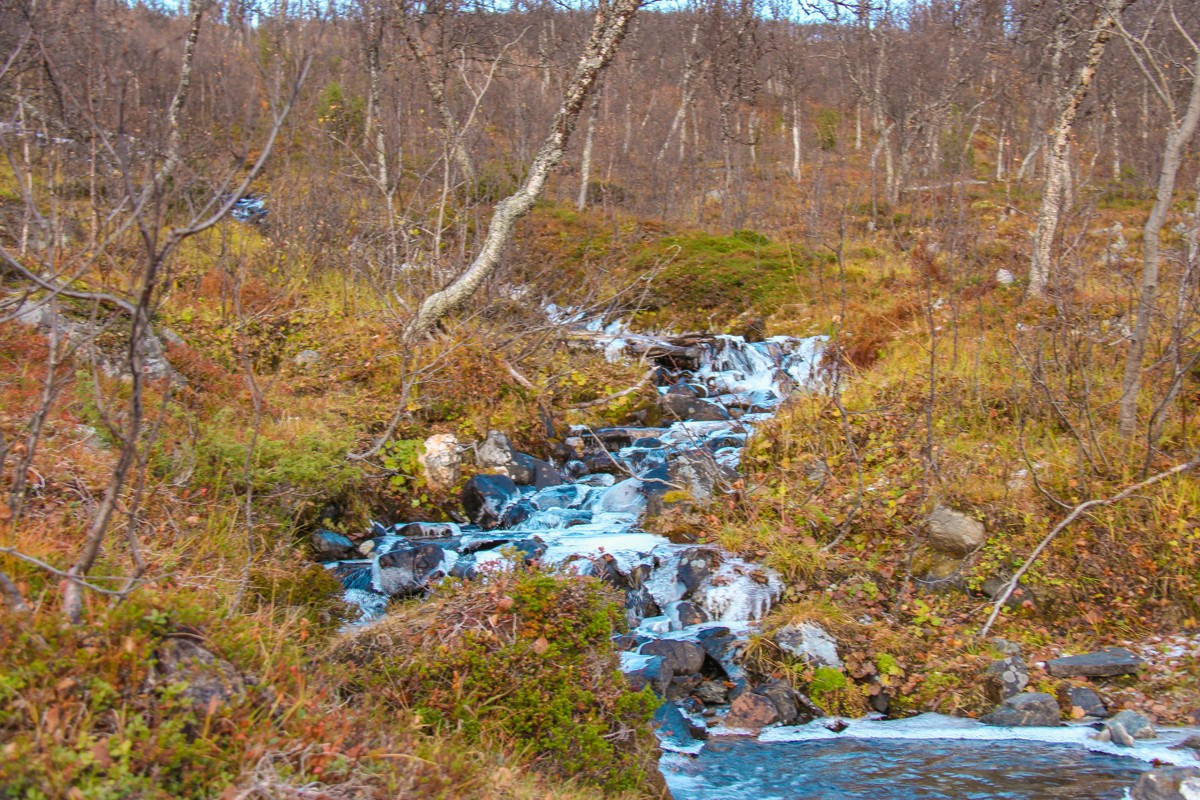 Nærområde
