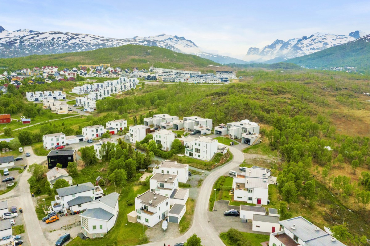 Området