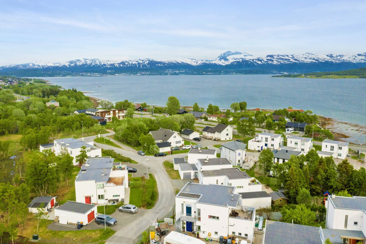 Området