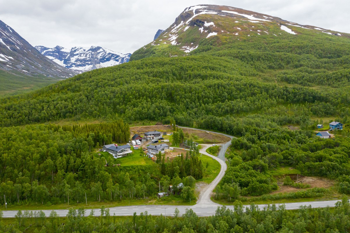 Utsikt fra tomten