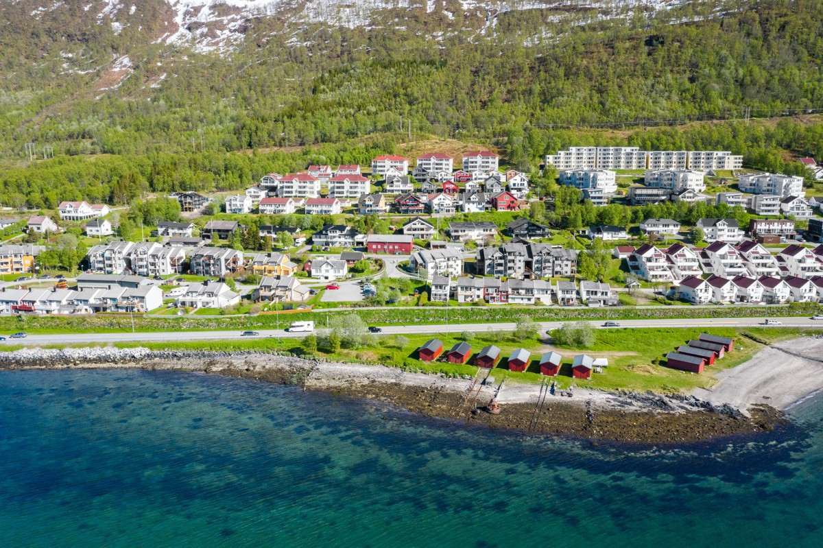 Området