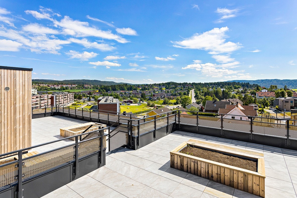 Felles takterrasse på toppen av E blokken Galleribilde