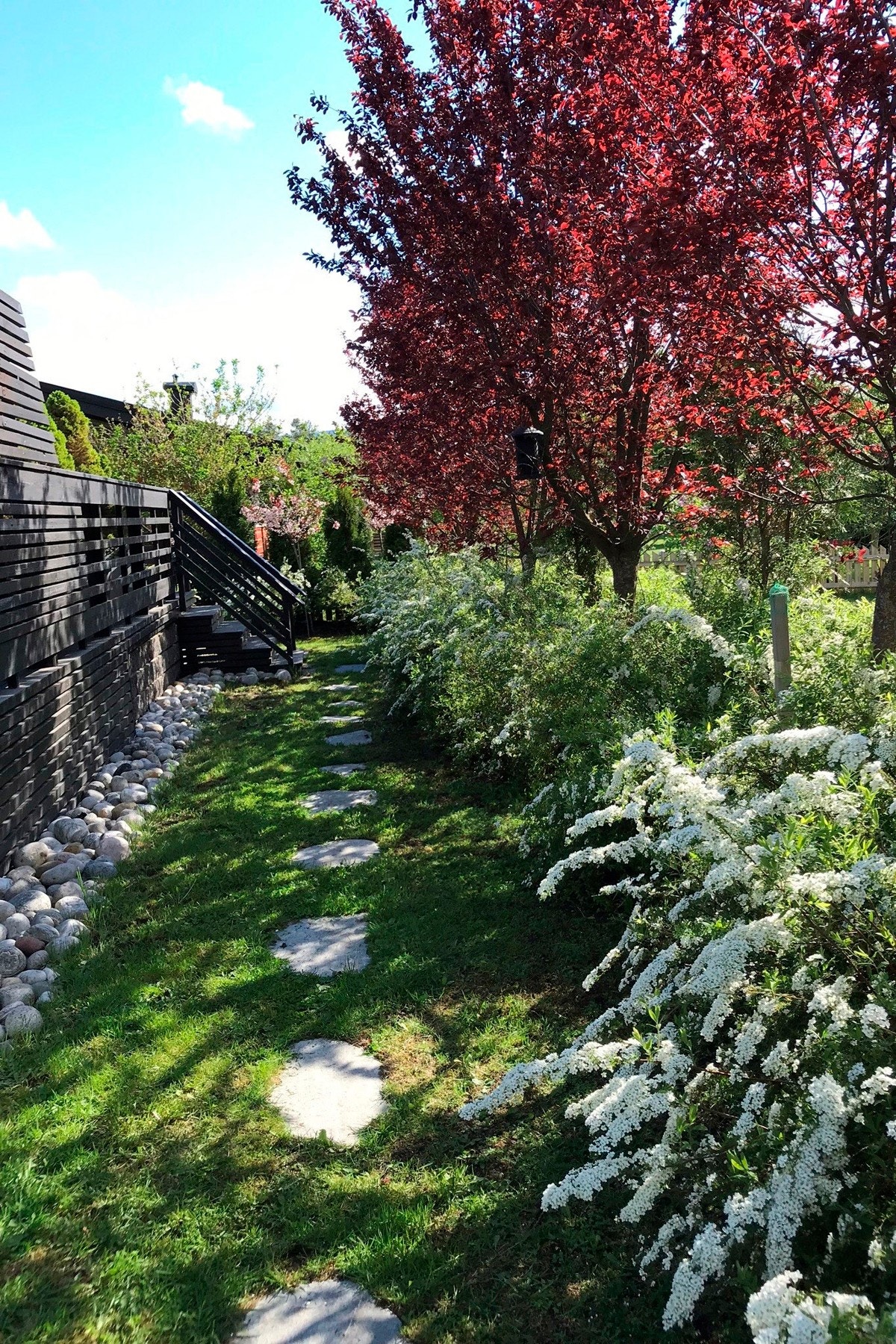 Flotte heller bak i hagen. Galleribilde