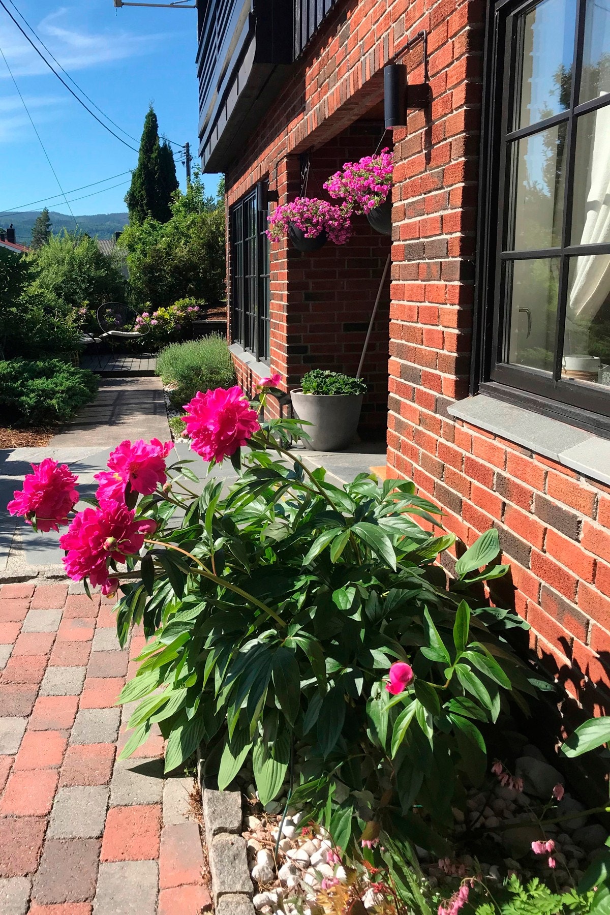 Blomsterbedd langsveggen. Galleribilde