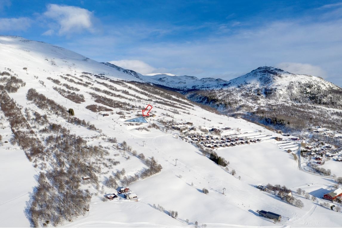 Tomtene ligger så og si midt i bakken! Galleribilde