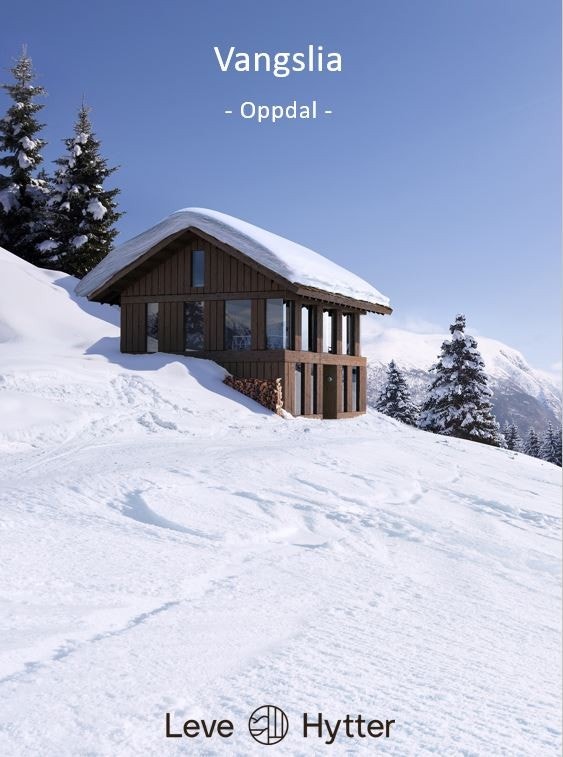 Denne Vy-modellen er laget spesielt for skrå/bratte tomer Galleribilde