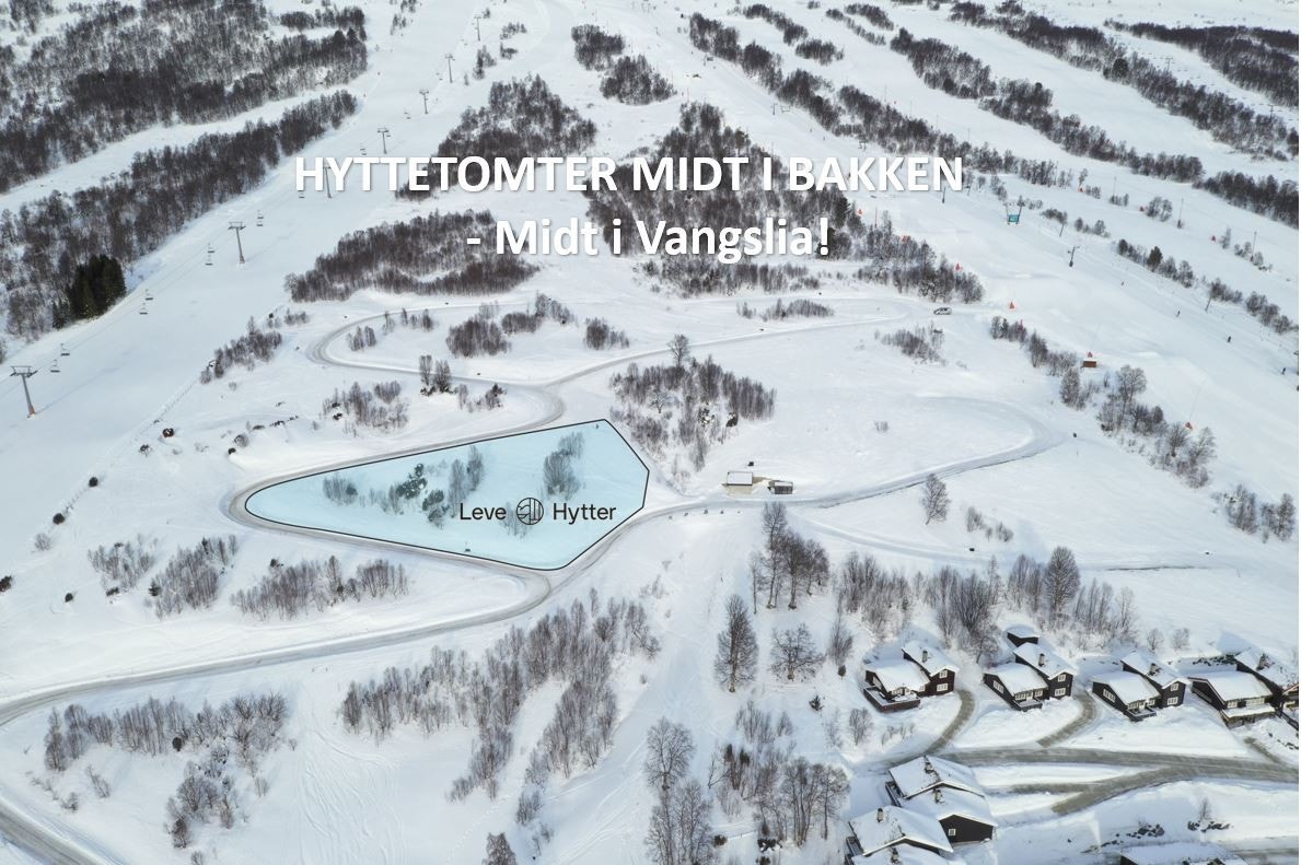 Oversikt tomtefelt Galleribilde