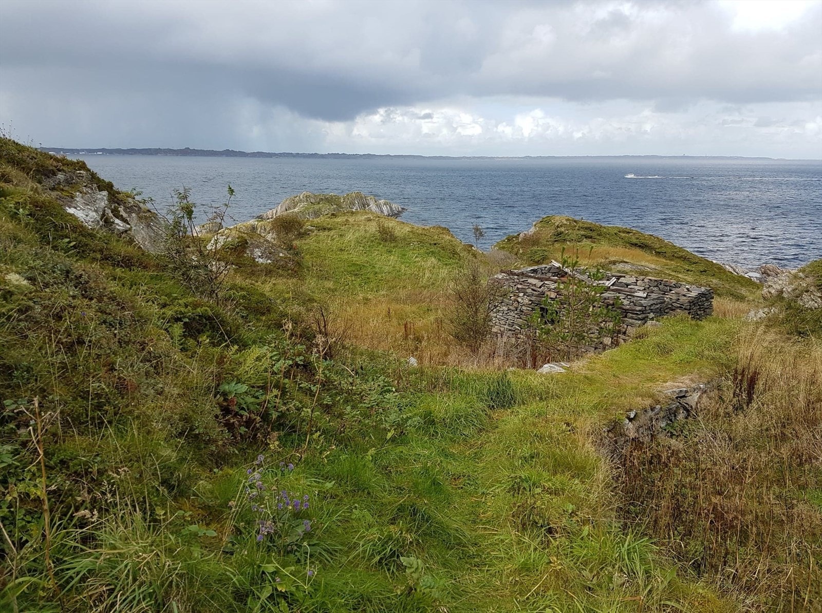 Naturtomt med svaberg, gress, dyrkbar mark, noe skog og knauser Galleribilde