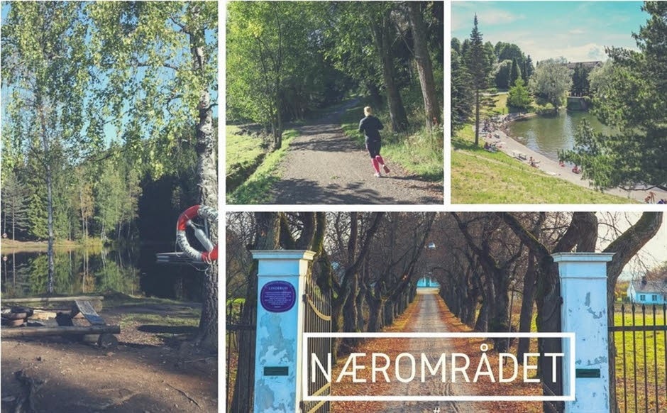 Nærområdet Galleribilde