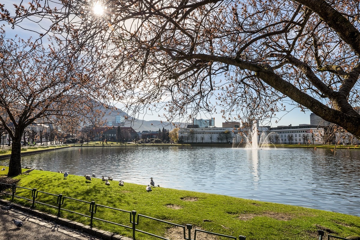 Lille Lungegårdsvannet er blant annet et av de. I tillegg er det kort vei til Fløyen. Galleribilde