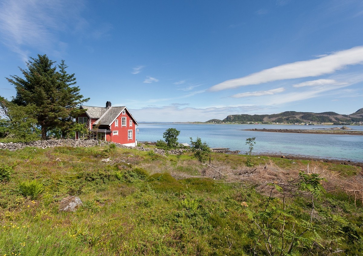 Nydelige omgivelser. Galleribilde