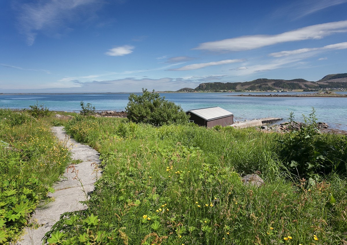 Flott tillaget gangsti ned til naustet og moloen. Galleribilde