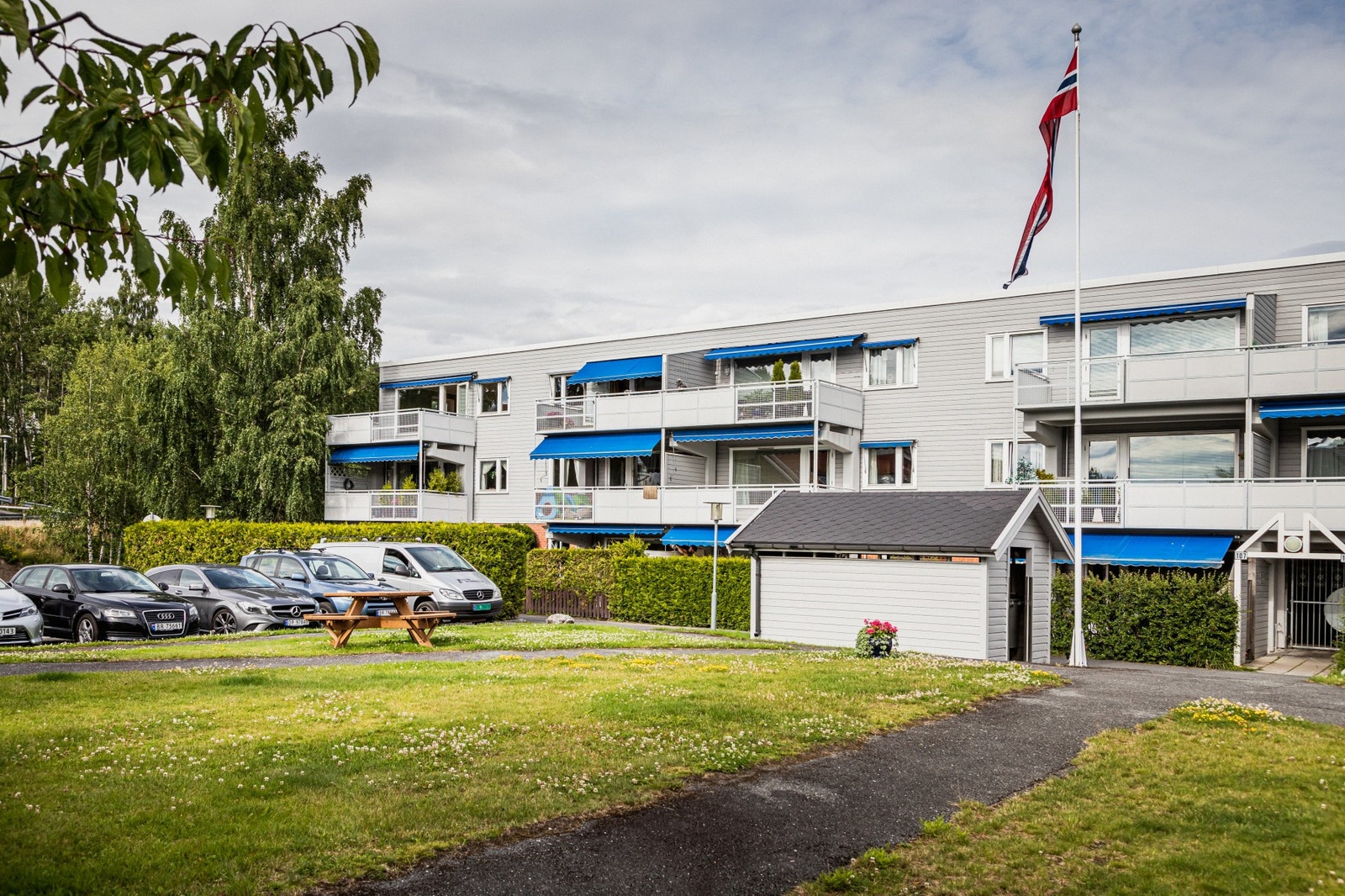 Frodig og grønt område. Galleribilde