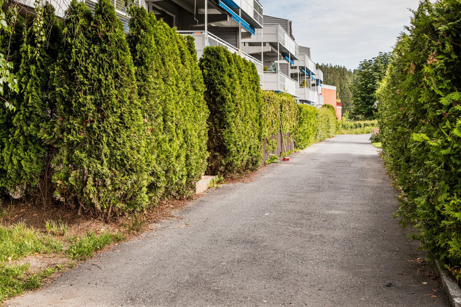 Rolig og idyllisk nabolag. Galleribilde