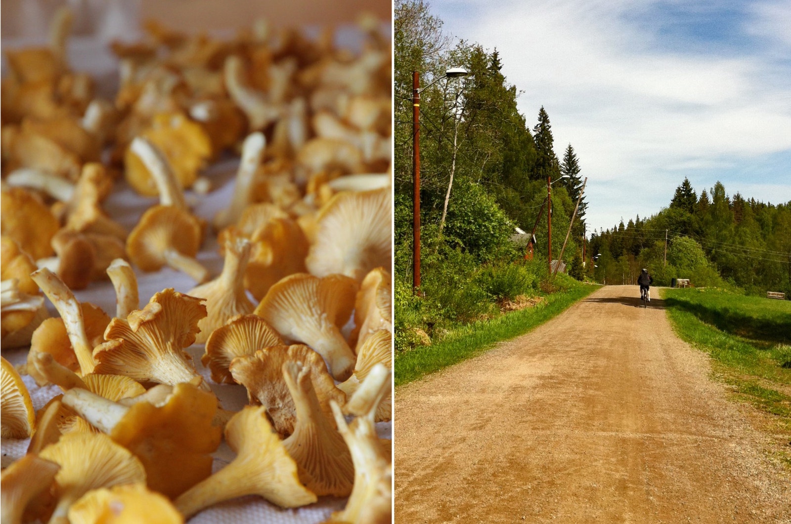 Flotte turveier sommer som vinter ved både ved Skullerudstua, Rustadsaga og Nøklevann for å nevne noe. Galleribilde