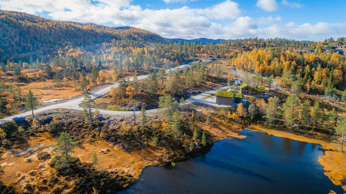 Kvisletoppen Aust tomtefelt Galleribilde