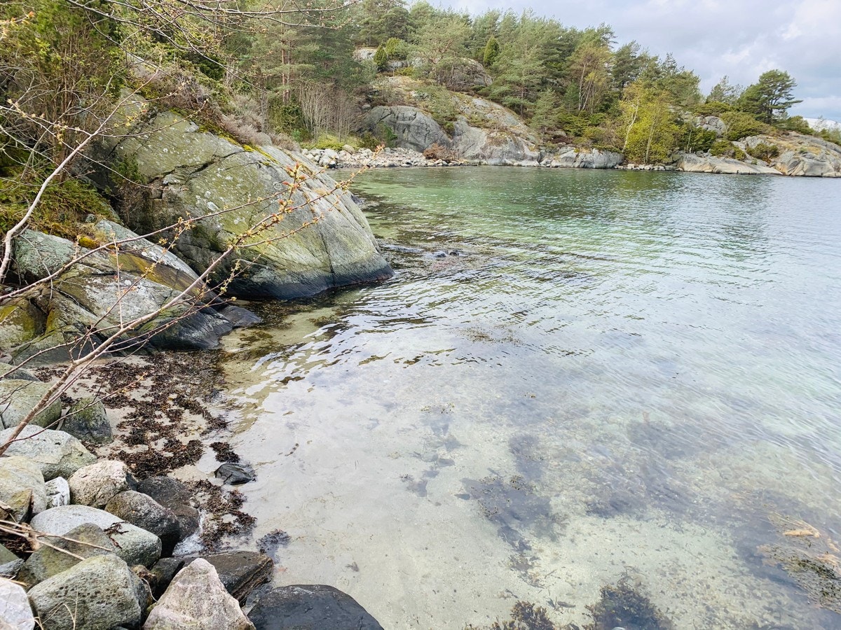 Fra sandstranden på nordsiden ved bryggeanlegget Galleribilde