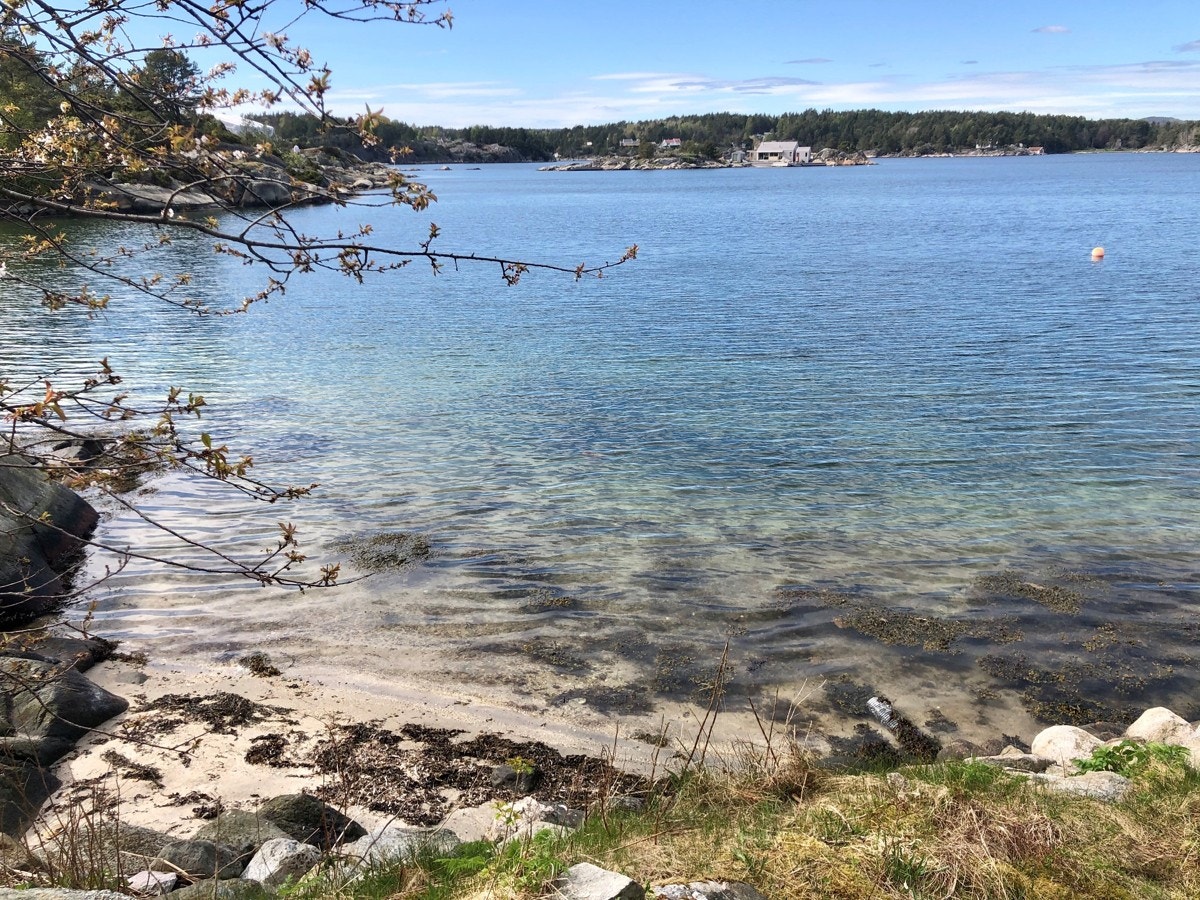 Fra sandstranden på nordsiden - ved bryggeanlegget Galleribilde
