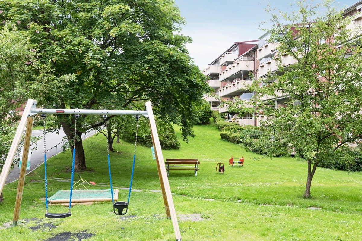 Her vil både store og små trives. Galleribilde
