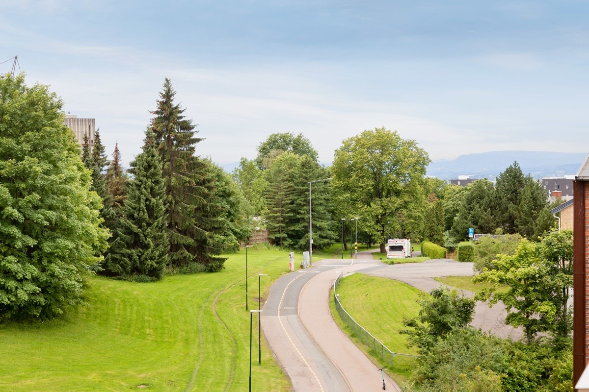 Når du velger hjem, velger du også nabolag og nærområde - rammen rundt selve boligen. Leiligheten i Disenveien 17 ligger i rolige omgivelser på Disen. Galleribilde