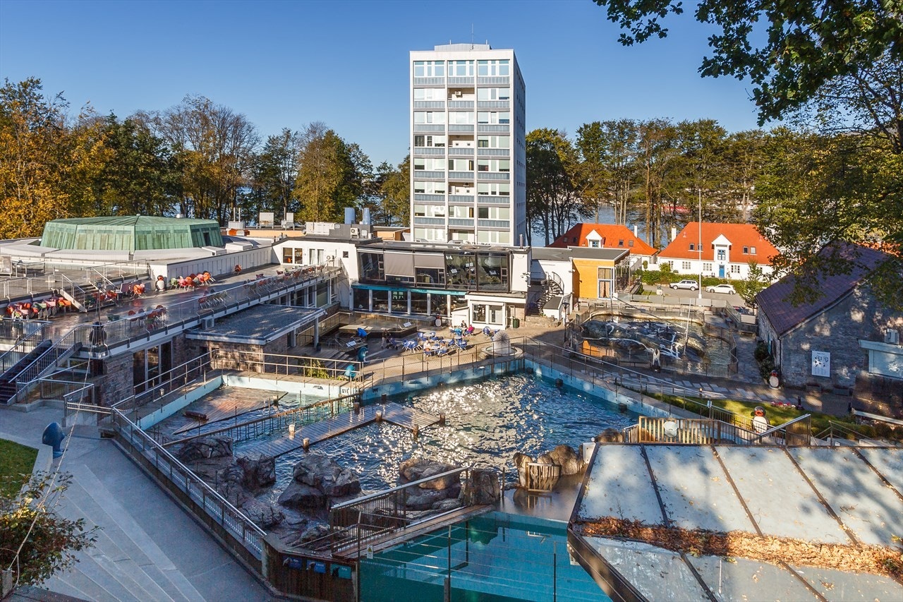 Akvariet er kun noen minutters gange fra leiligheten. Galleribilde