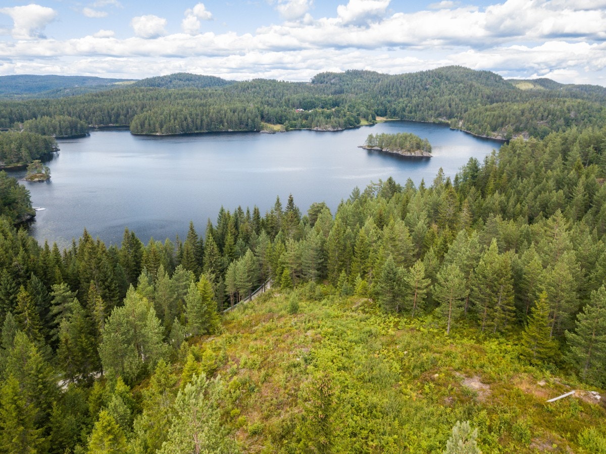 Hyttetomt beliggende i et lite hytteoråde med nærhet til fantastisk natur og flott utsikt til Vegår Galleribilde