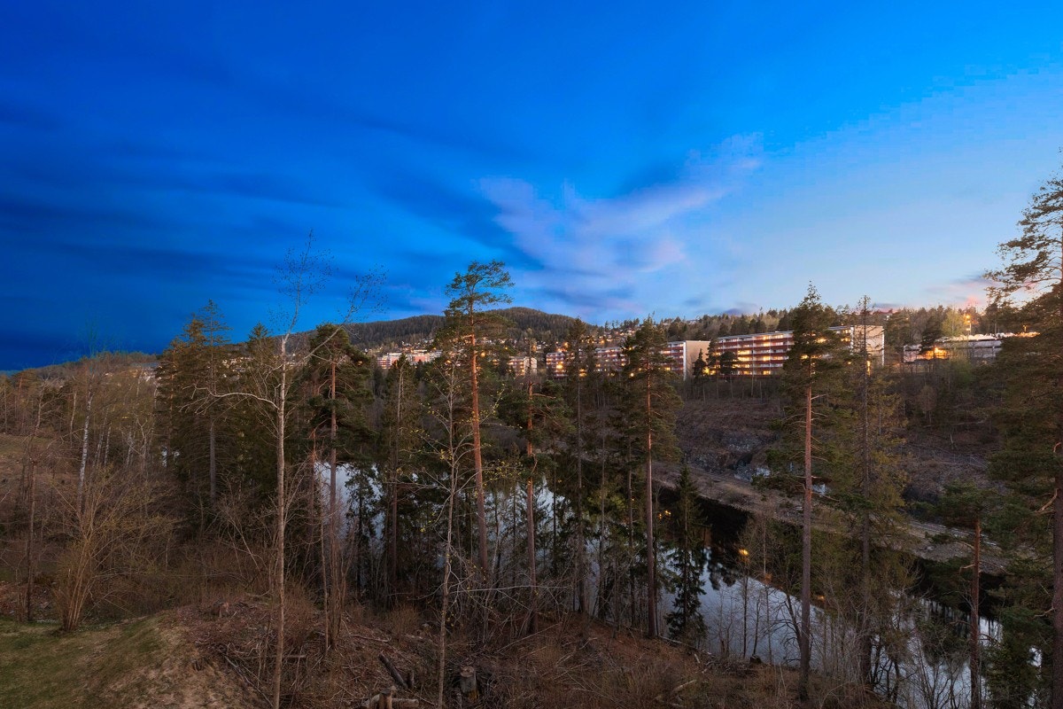 Utsikt over Bondivann og Vardåsen. Galleribilde