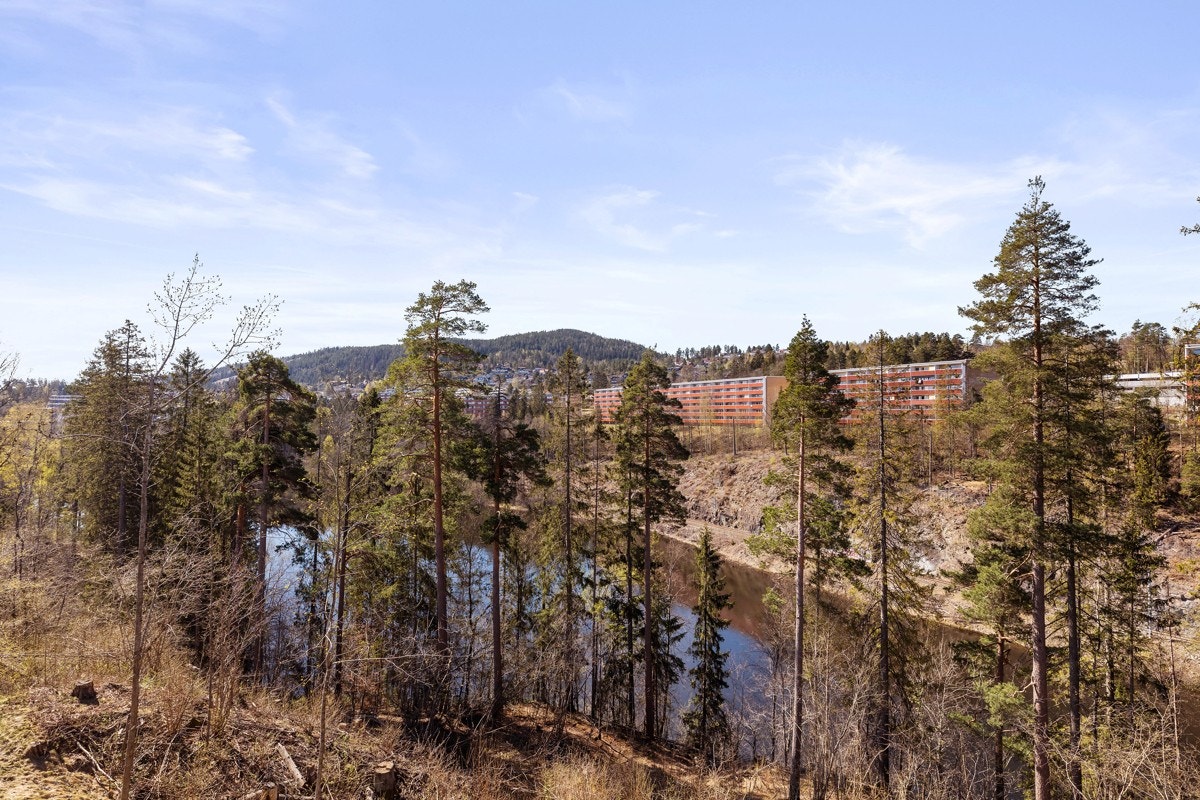 Utsikt mot Bondivann. Galleribilde