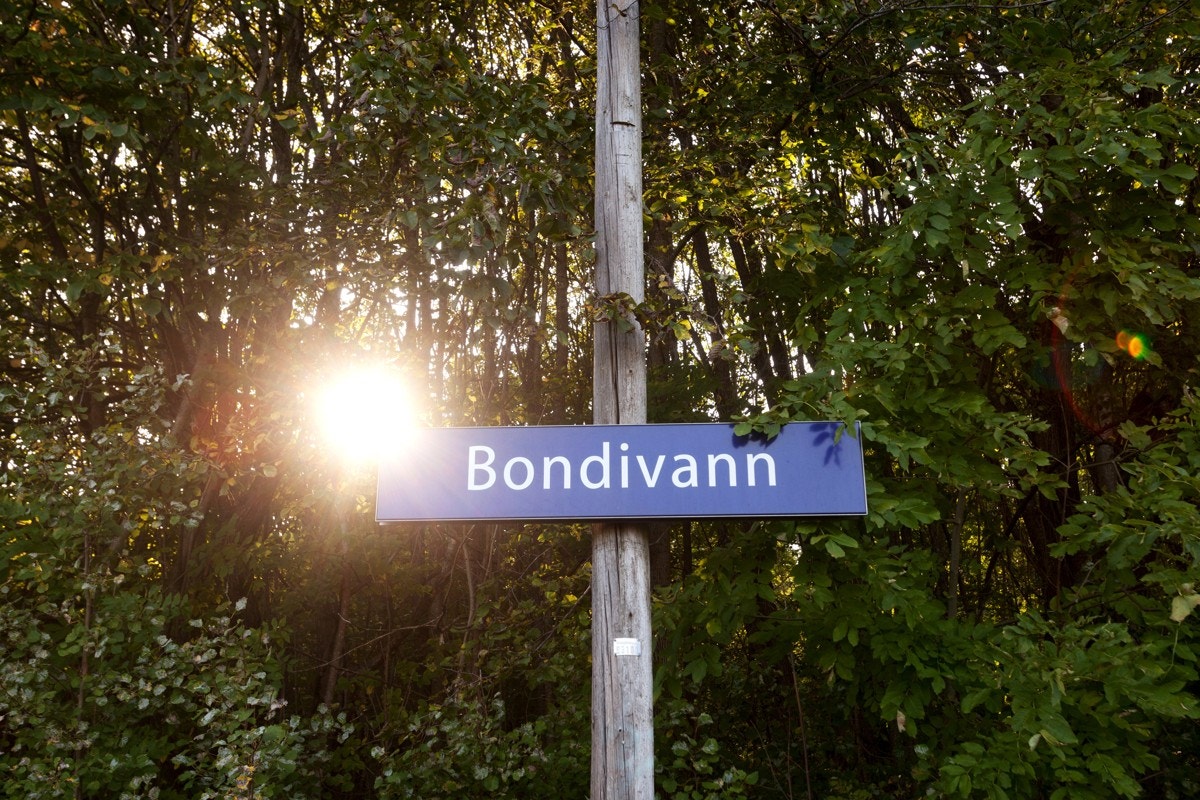 Fra leiligheten er det kort gangavstand til Bondivann togstasjon. Galleribilde