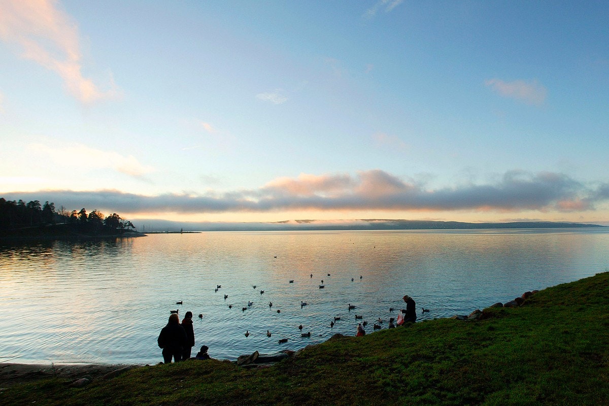 De er tilrettelagt for fine kveldsturer langs fjorden. Galleribilde