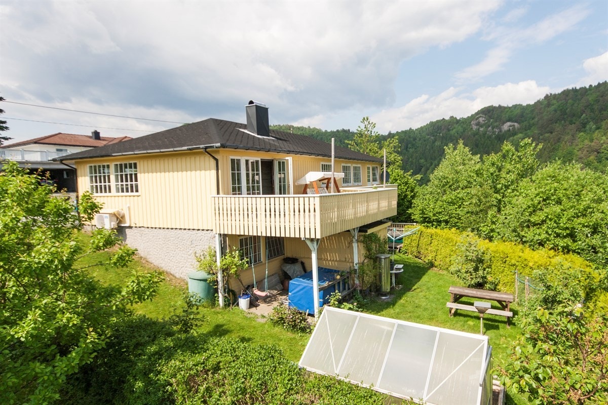 Fin hage med drivhus. Galleribilde