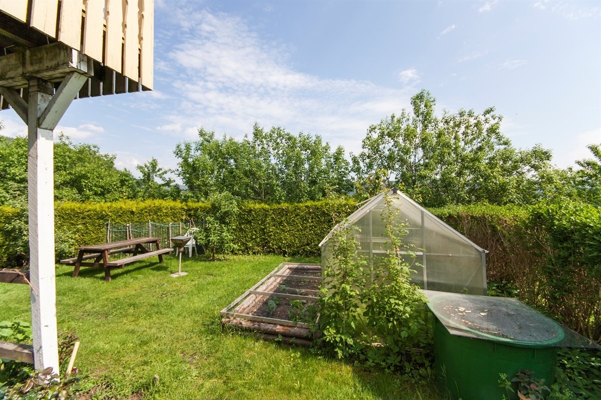 Hage med drivhus. Galleribilde