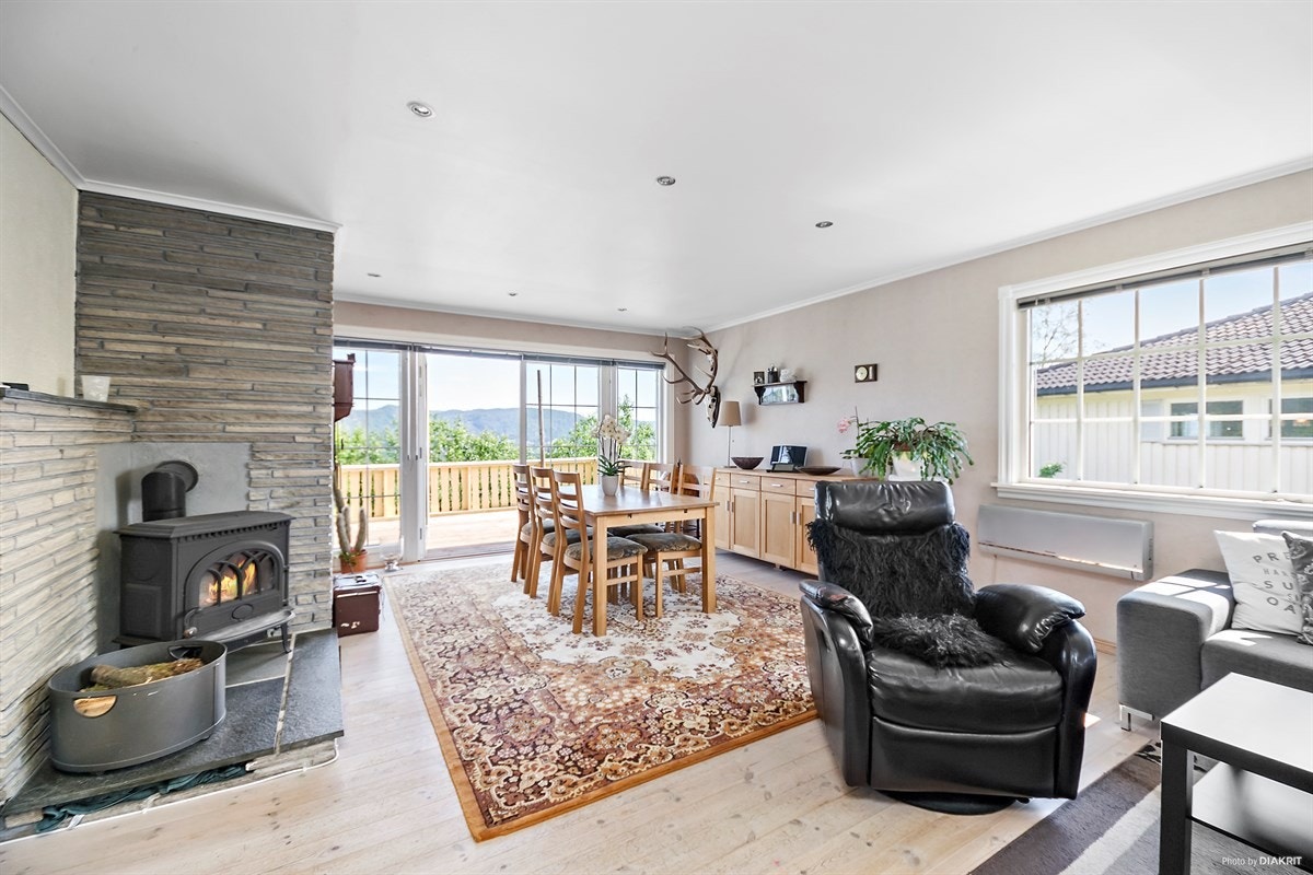 Romslig stue med peisovn. Galleribilde