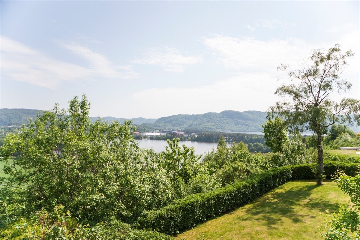 Flott utsikt mot fjorden. Galleribilde