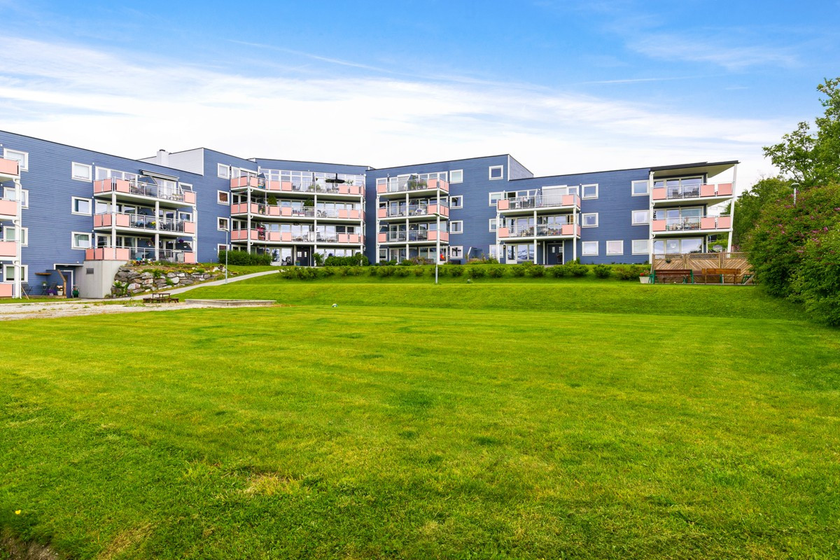 Området er solrikt, barnevennlig og har kort vei til både barnehage og skole