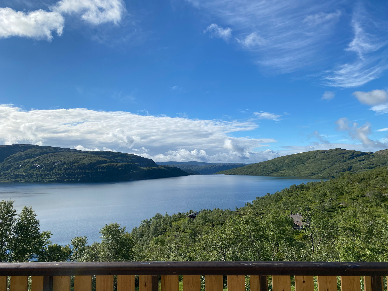 Utenfor sommer Galleribilde