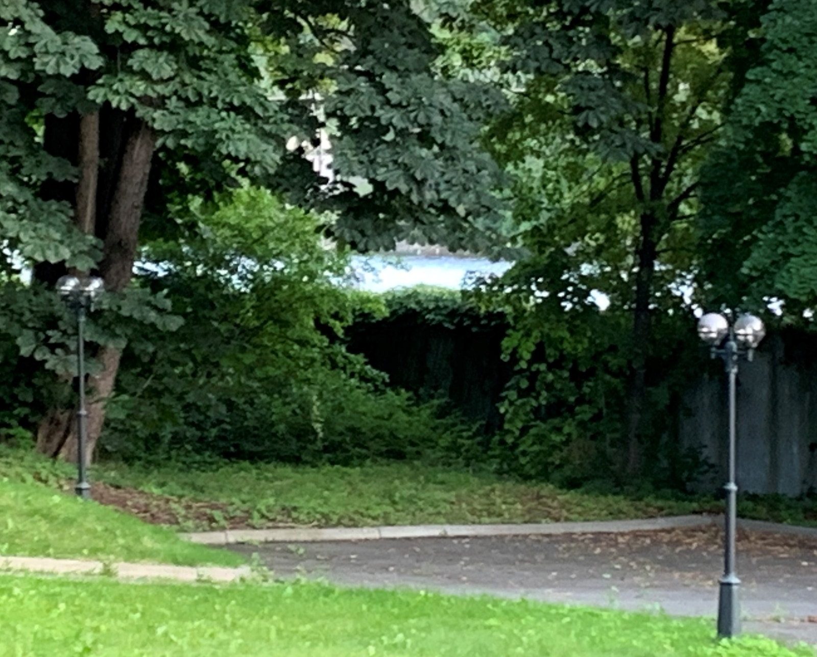 Utsikt mot syd - sjøgløtt Galleribilde