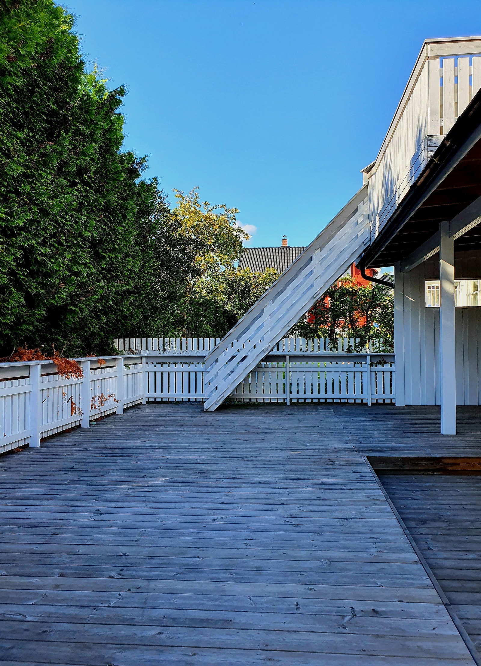 Nordside terrasse (Felles) Galleribilde