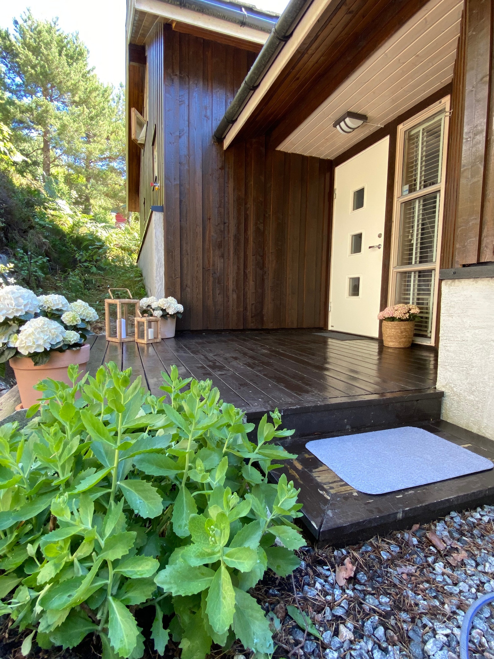 Inngang Galleribilde