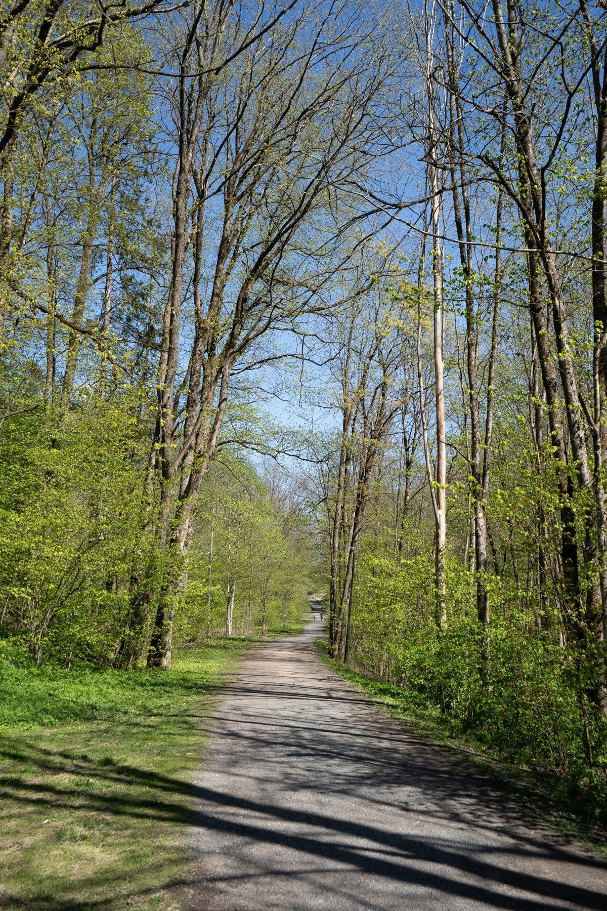 Turmuligheter Galleribilde