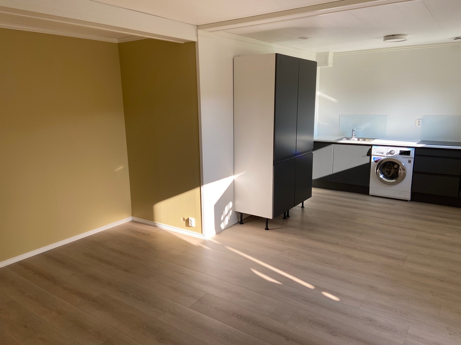 Hovedrom Galleribilde