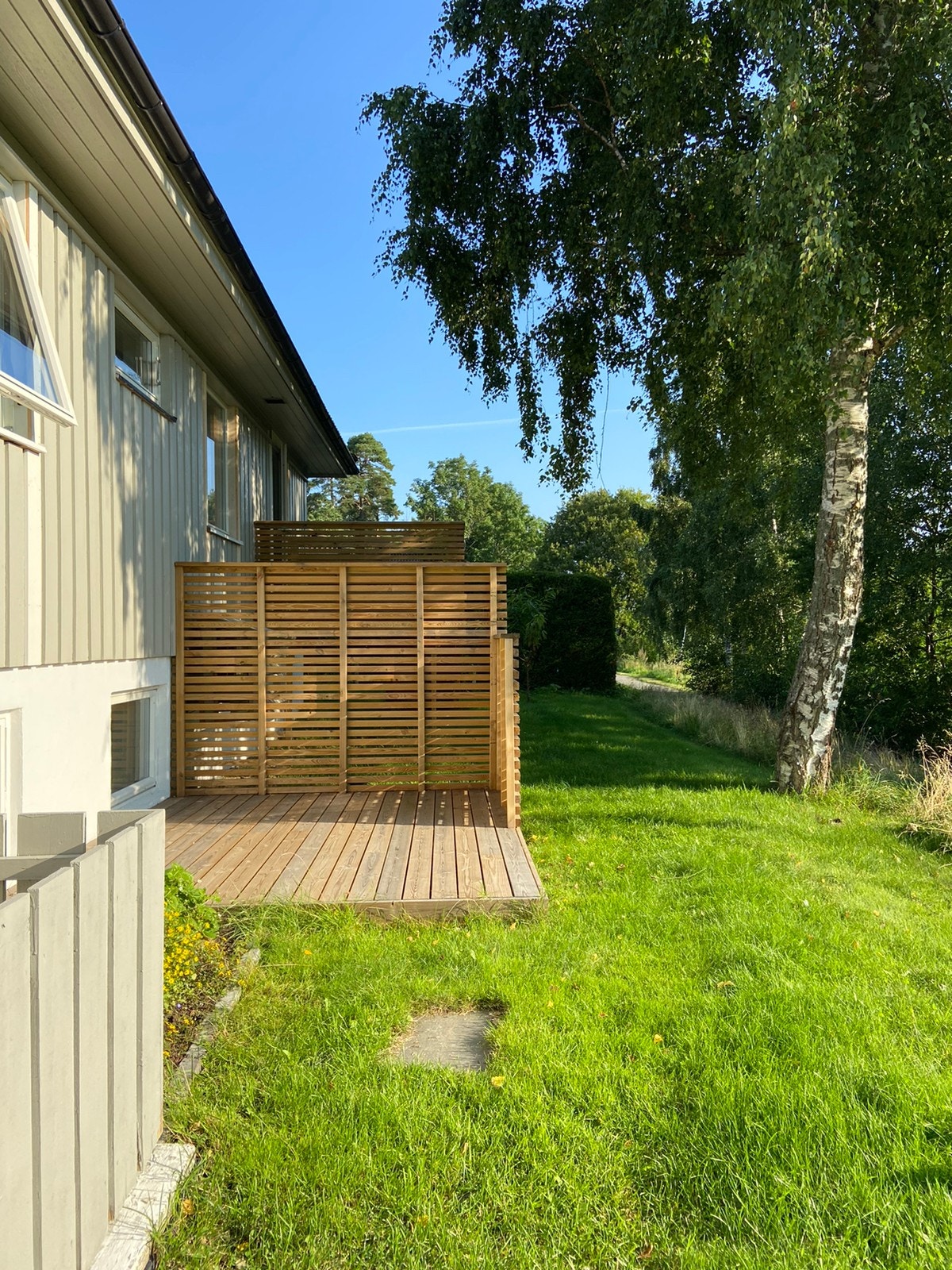 Egen platting, morgen og formiddagssol Galleribilde