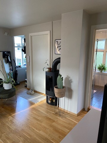 Ny peisovn Galleribilde