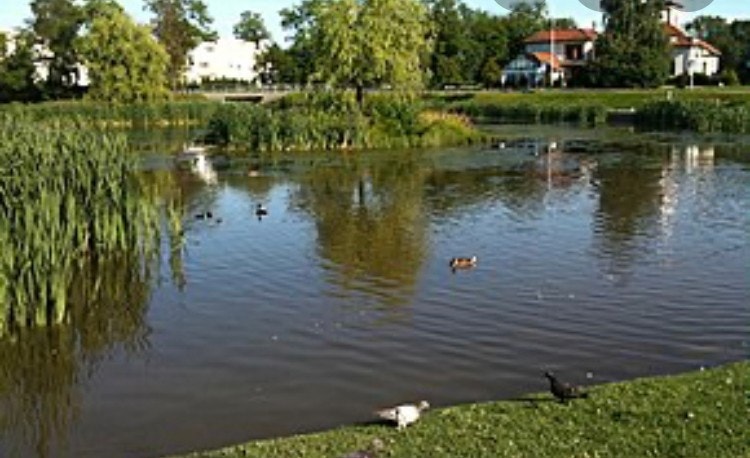 Smestaddammen utenfor døren Galleribilde