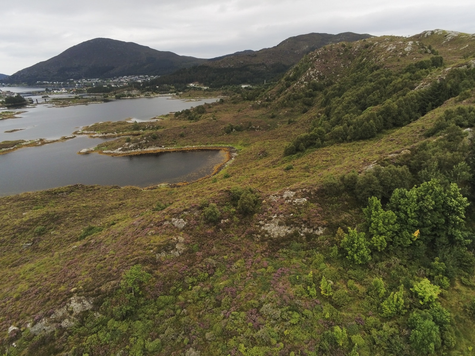 område nord for tomtene Galleribilde