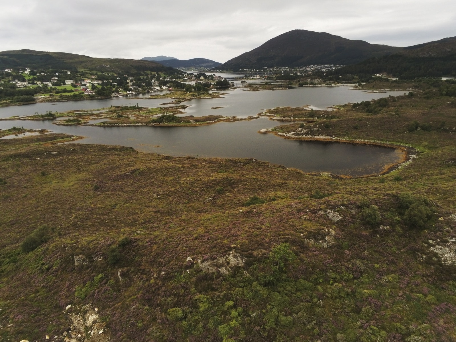 straumane Galleribilde