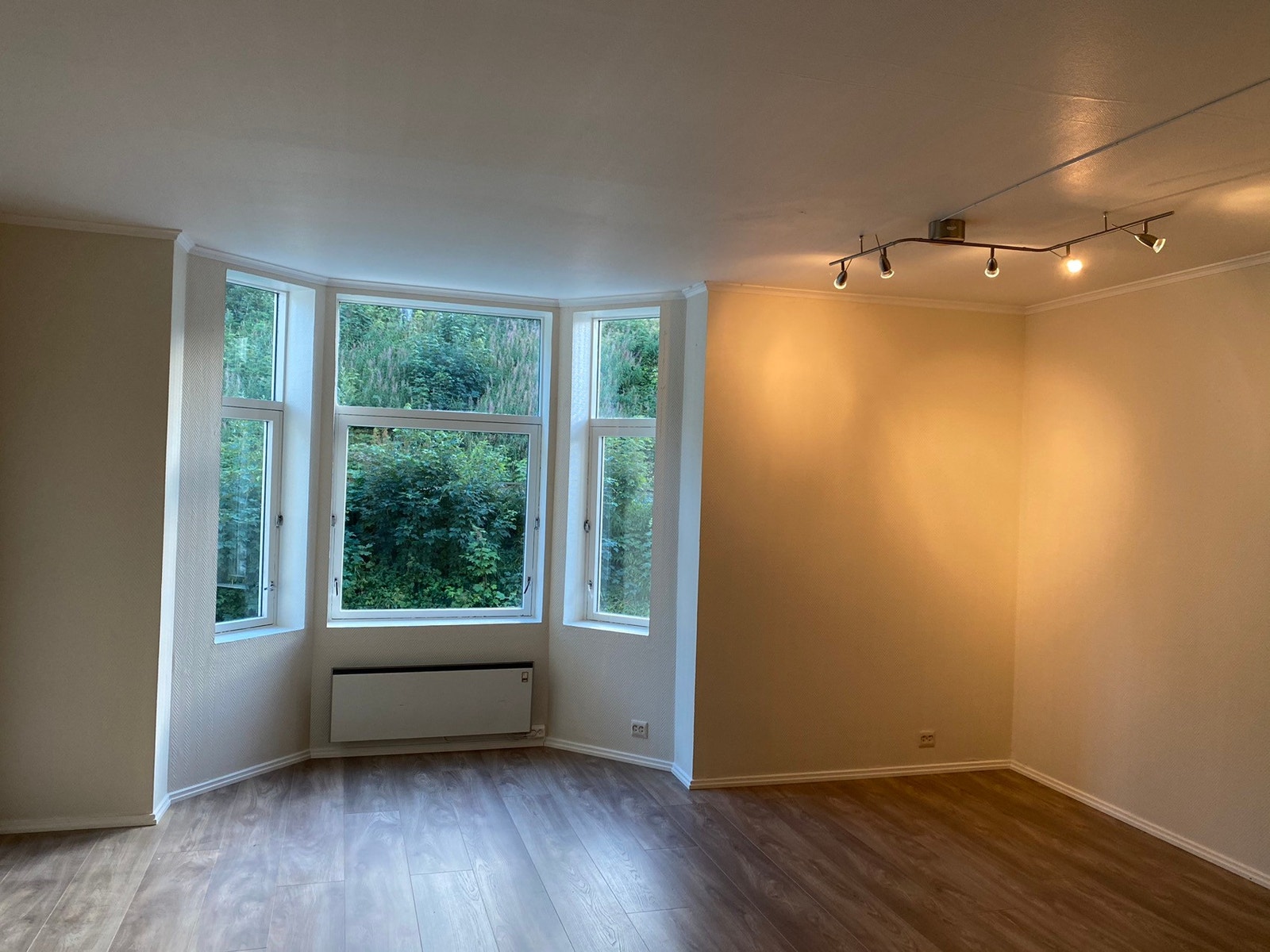 Stort rom m/karnapp evt stue Galleribilde